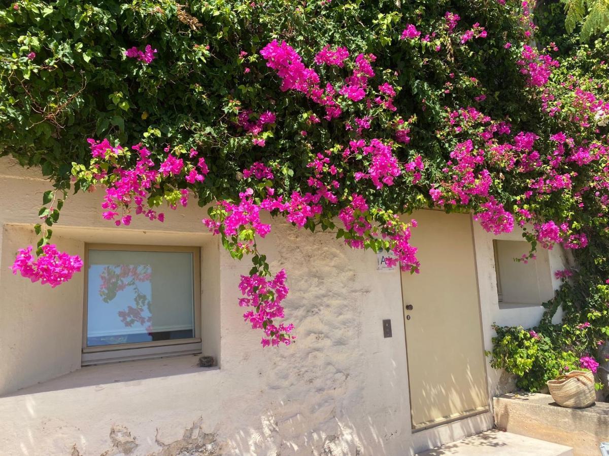 Nova Casa Com Piscina No Convento Das Bernardas Tavira Esterno foto